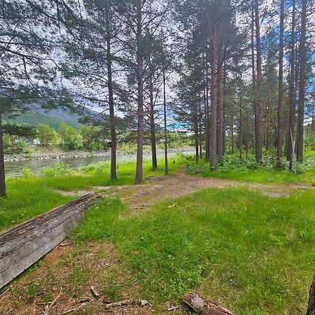 Torfoss Gard, Hytte Utleie, Campingvogn Og Bobil Plasser Potka Zewnętrze zdjęcie