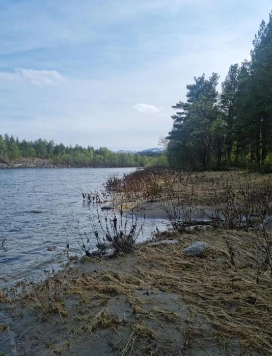 Torfoss Gard, Hytte Utleie, Campingvogn Og Bobil Plasser Potka Zewnętrze zdjęcie