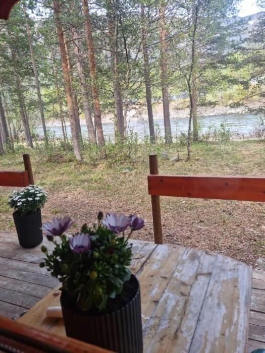 Torfoss Gard, Hytte Utleie, Campingvogn Og Bobil Plasser Potka Zewnętrze zdjęcie