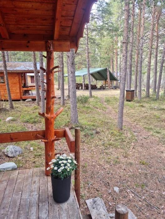 Torfoss Gard, Hytte Utleie, Campingvogn Og Bobil Plasser Potka Zewnętrze zdjęcie