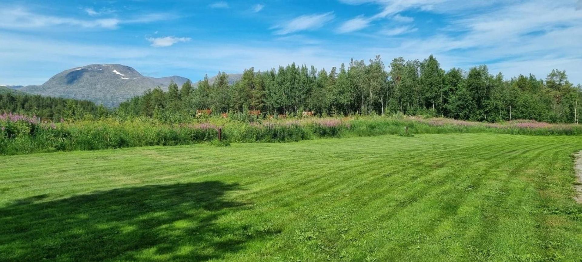 Torfoss Gard, Hytte Utleie, Campingvogn Og Bobil Plasser Potka Zewnętrze zdjęcie