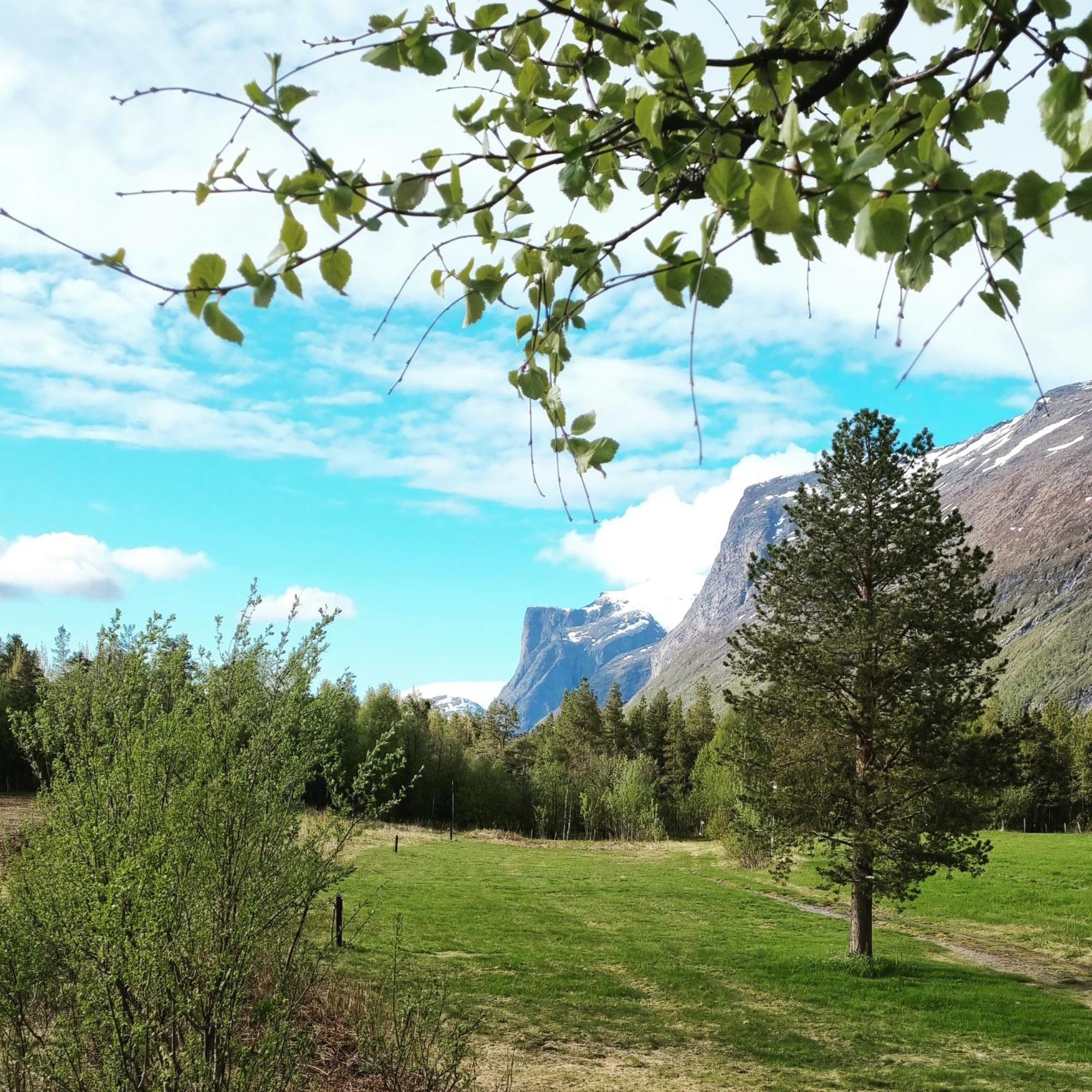 Torfoss Gard, Hytte Utleie, Campingvogn Og Bobil Plasser Potka Zewnętrze zdjęcie