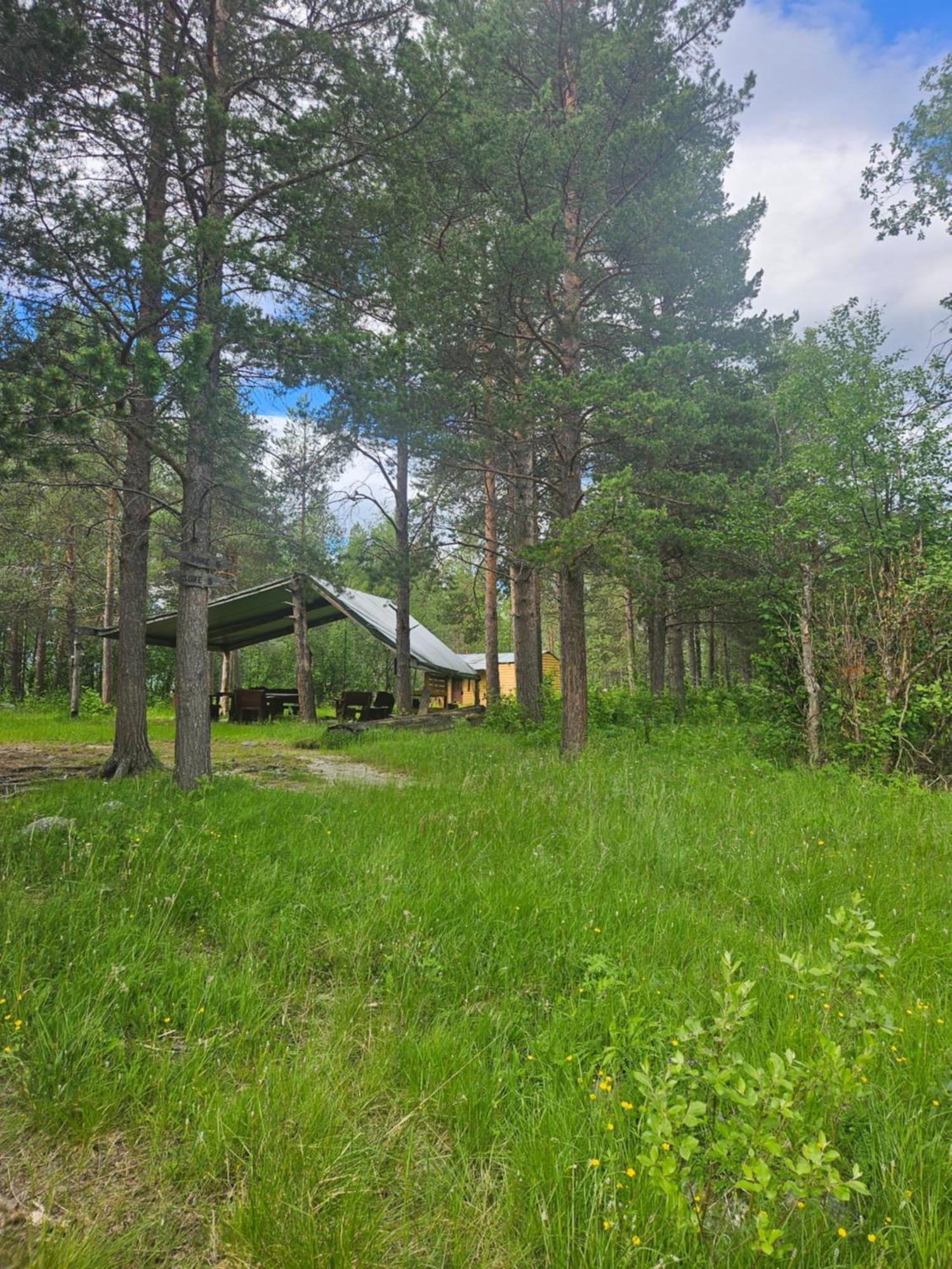 Torfoss Gard, Hytte Utleie, Campingvogn Og Bobil Plasser Potka Zewnętrze zdjęcie