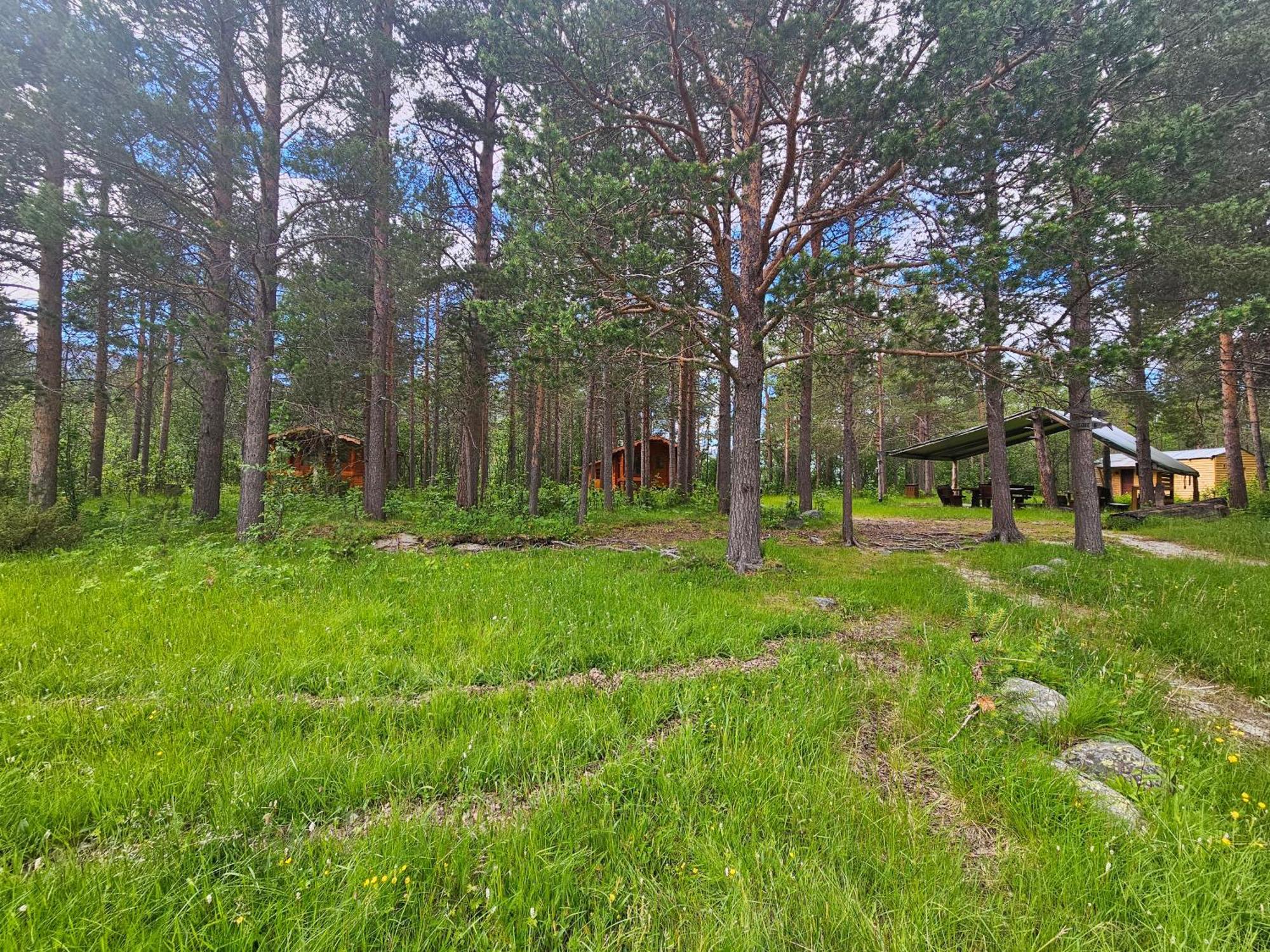 Torfoss Gard, Hytte Utleie, Campingvogn Og Bobil Plasser Potka Zewnętrze zdjęcie